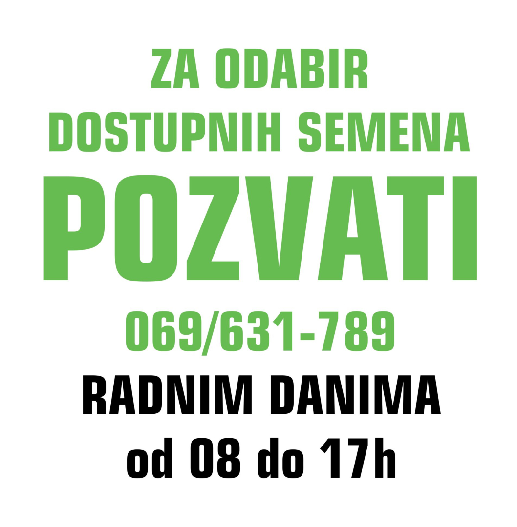 KESICE POVRCA MALA GRAMATURA